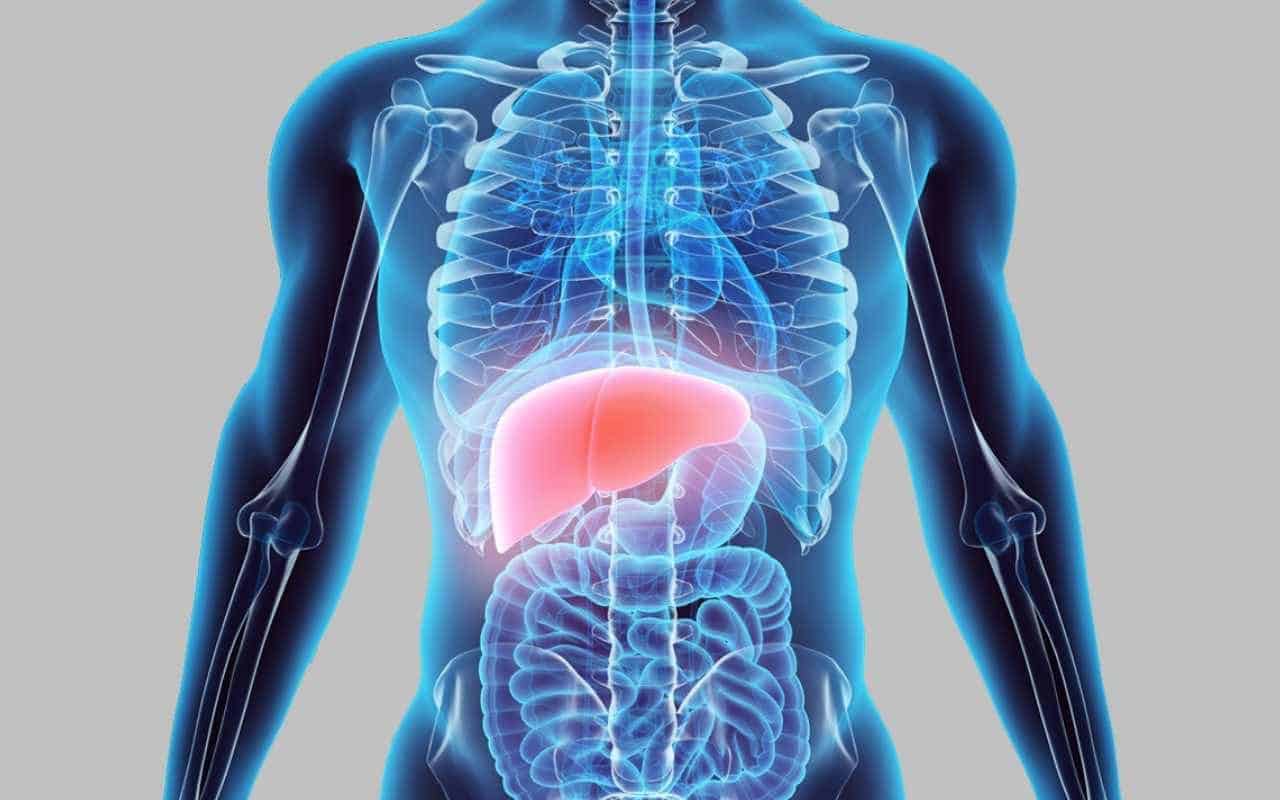 علاج الدهون الثلاثية وتخليص الكبد من جميع السموم بشكل نهائي