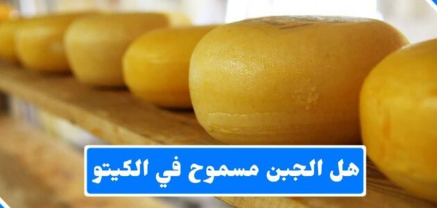 هل الجبن مسموح في الكيتو؟ قائمة بأنواع الجبن المسموح والممنوع في الكيتو