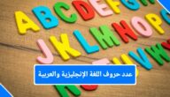 عدد حروف اللغة العربية والانجليزية