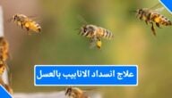 علاج انسداد الأنابيب بالعسل